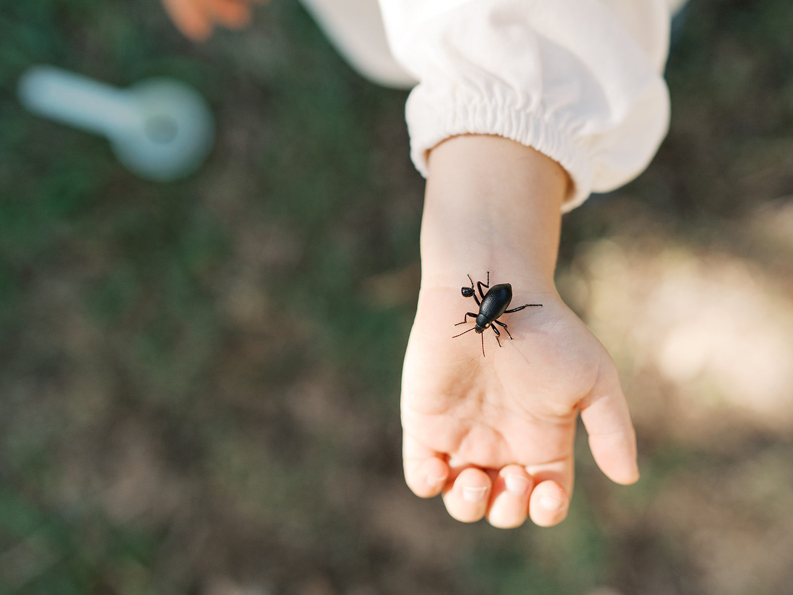 The Benefits of At-Home Family Sessions