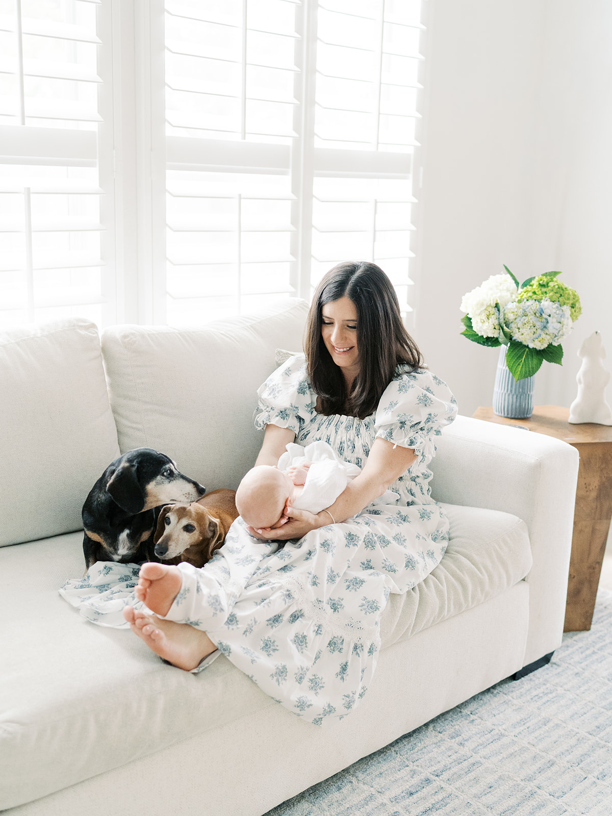 mom holds newborn with two dogs by her side on the couch