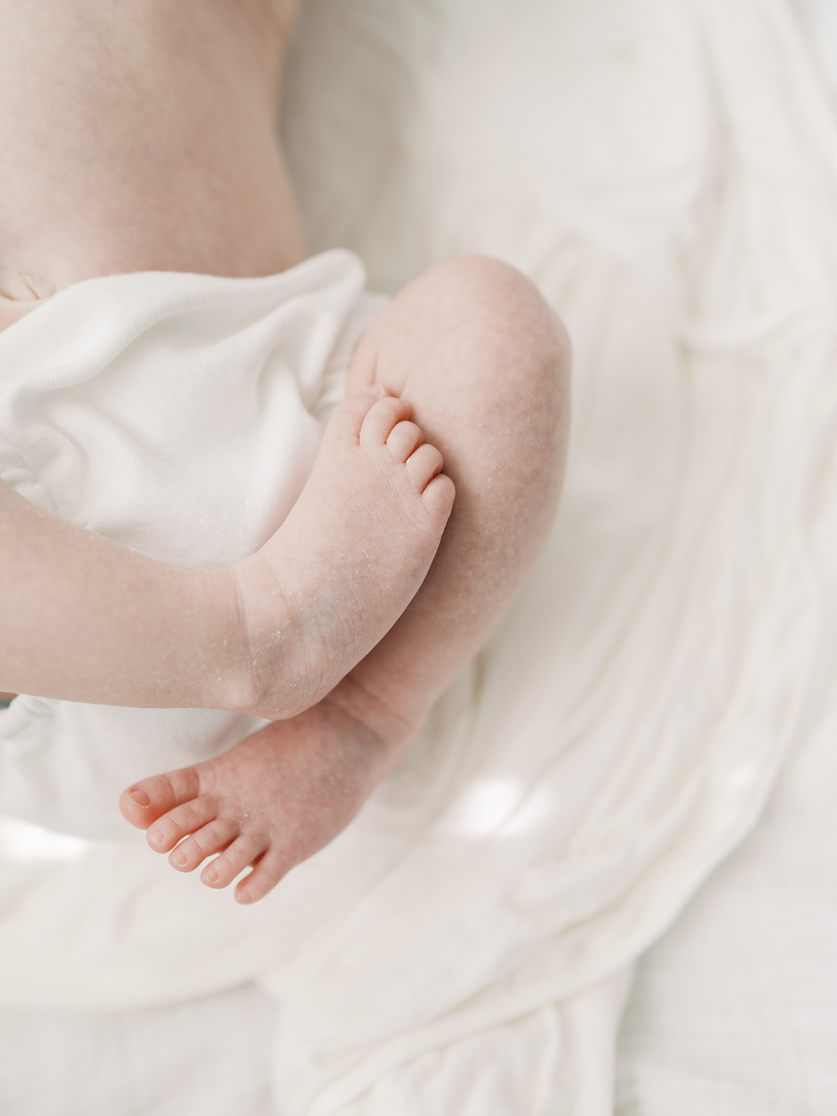 newborn feet and details | Austin, TX family photographer shares tips for including dogs in your family photos