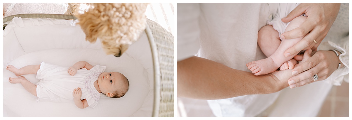 Goldendoodle looking down on baby girl in a bassinet for their in-home newborn session in San Antonio, TX taken by Teressa Jane Photography, a San Antonio Newborn Photographer.